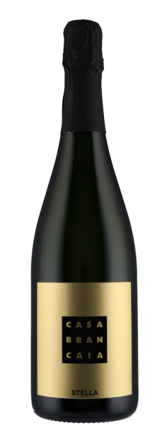 Brancaia-Stella-Spumante-Brut-Casa-Brancaia-1.png