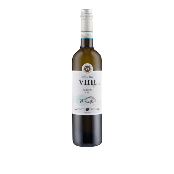 Custoza-DOC-2024-Vini-di-Paolo-1.png
