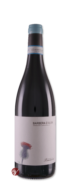 Barbera-dAlba-DOC-2014-Brandini