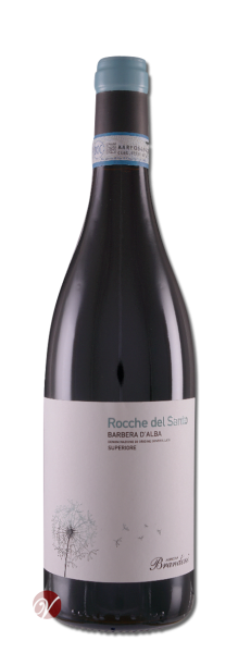 Barbera-dAlba-Rocche-del-Santo-DOC-Superiore-2013-Brandini