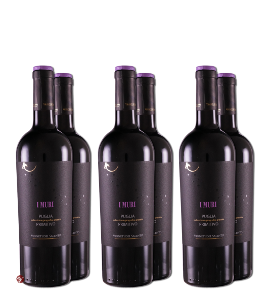 Primitivo-Puglia-I-Muri-IGP-2021-6-Fl-x-075-L-VSalento-Vigne